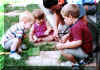 Looking for Bugs.jpg (65382 bytes)
